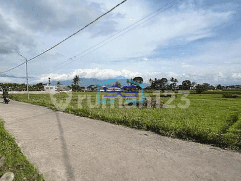Dijual Tanah Garut Banyuresmi Luas Tanah 3202 m²