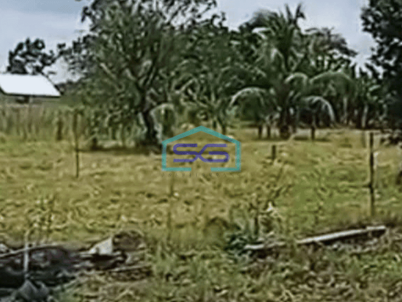 Dijual Tanah Luas Siap Bangun Dekat Gerbang Tol Indralaya Palembang