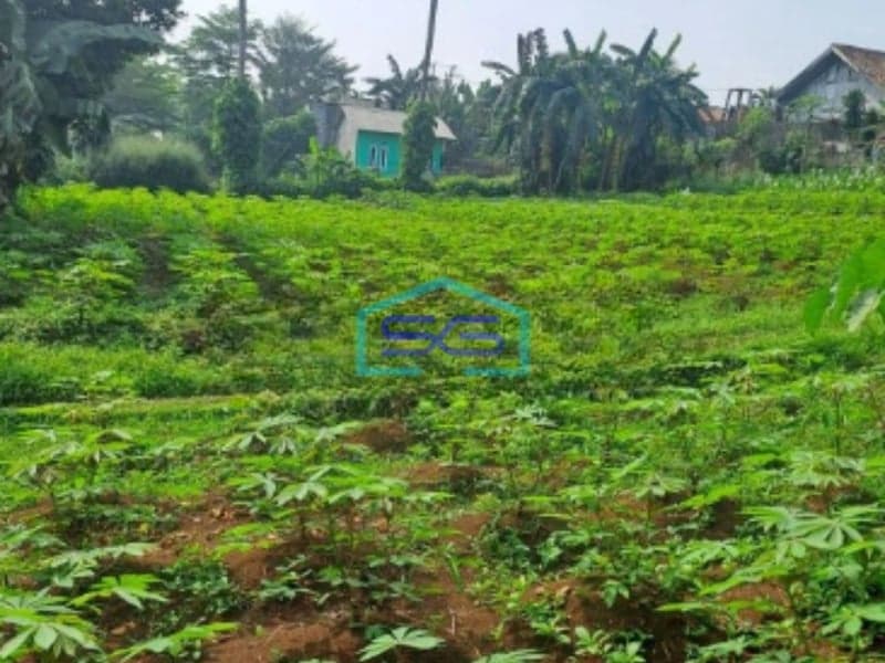 Dijual Tanah di Jalan Raya Rancabungur Bogor Luas Tanah 12000m2