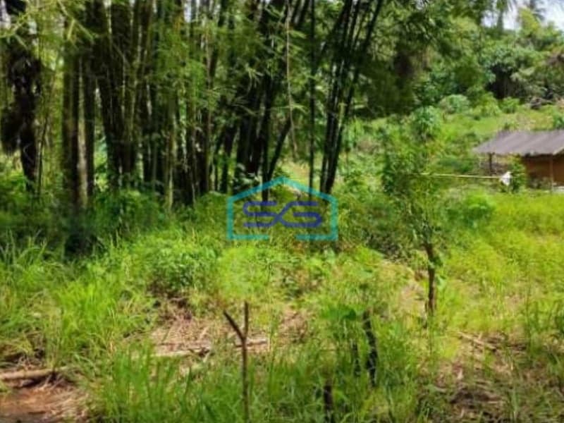 DIjual Tanah Di Malalayang Dekat Ring Road 3 Manado Luas Tanah (PxL)  20000 m²