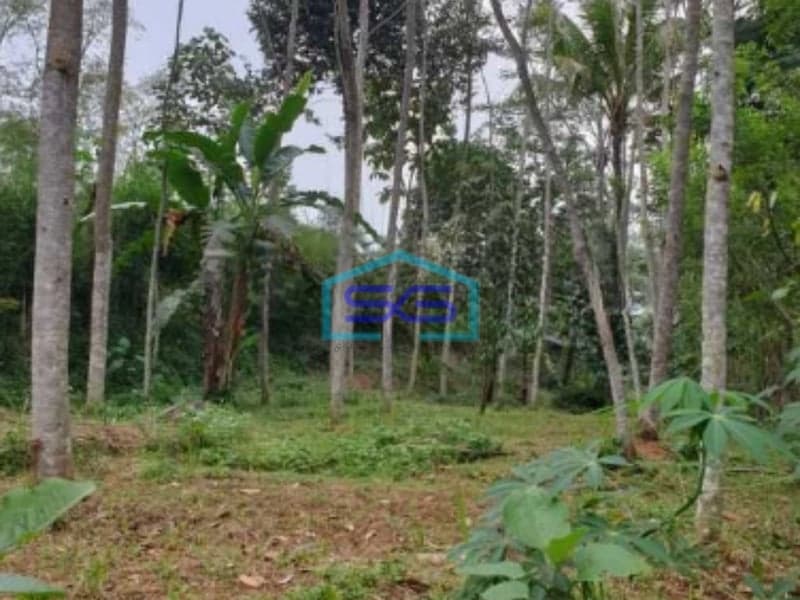 Dijual Tanah Strategis Siap Bangun Tengah Kota Salatiga Jawa Tengah LT 2536m2