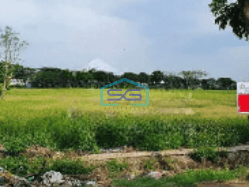 Dijual Tanah di Daerah Bulakrejo Jinung Sukoharjo LT 11789m2