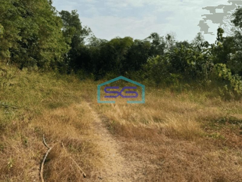 Dijual Tanah Luas 60000 m²  di Wonosegoro Boyolali