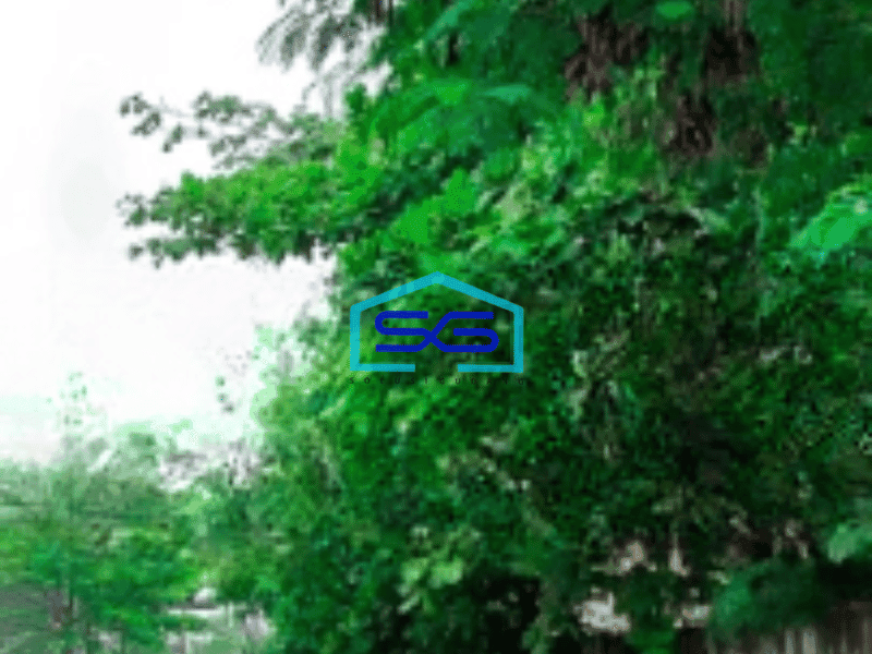 Disewakan Tanah Luas 2189 m² di Puri Indah Jakarta Barat