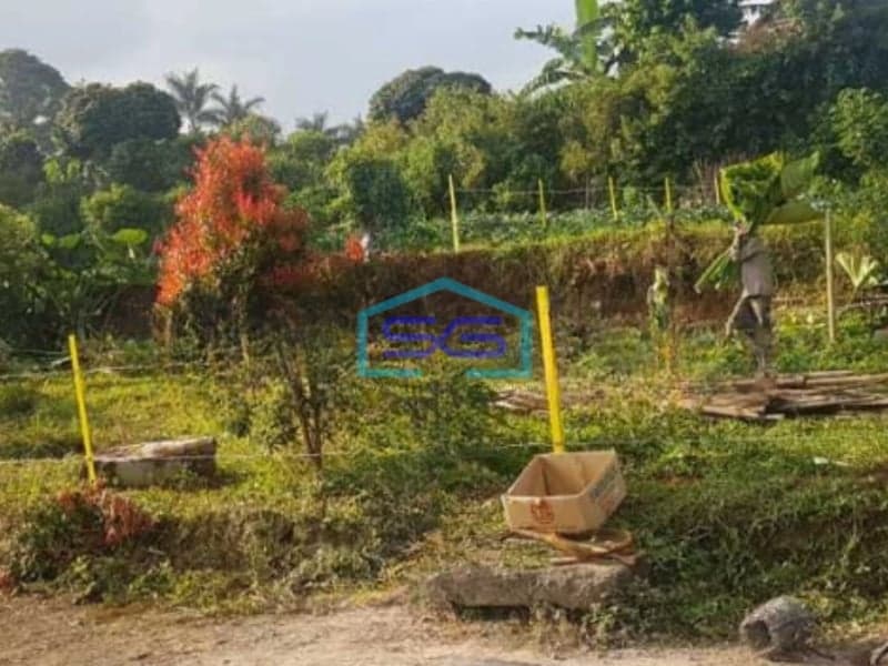 Dijual Tanah Villa Dan Kolam Pemancingan di Cijambe Subang Luas Tanah  3129 m²