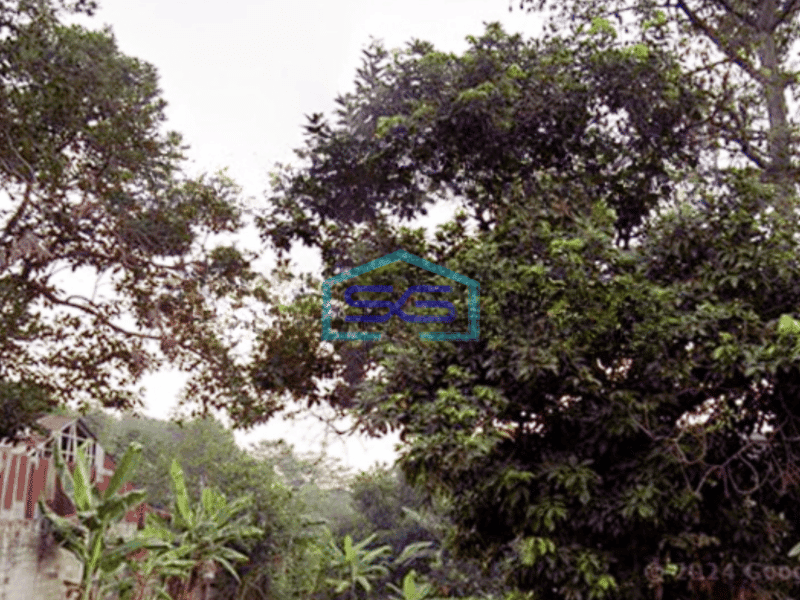 Dijual Tanah Sentul City Bogor Luas 2184m2 Desa Cipambuan Untuk Pabrik Dan Gudang