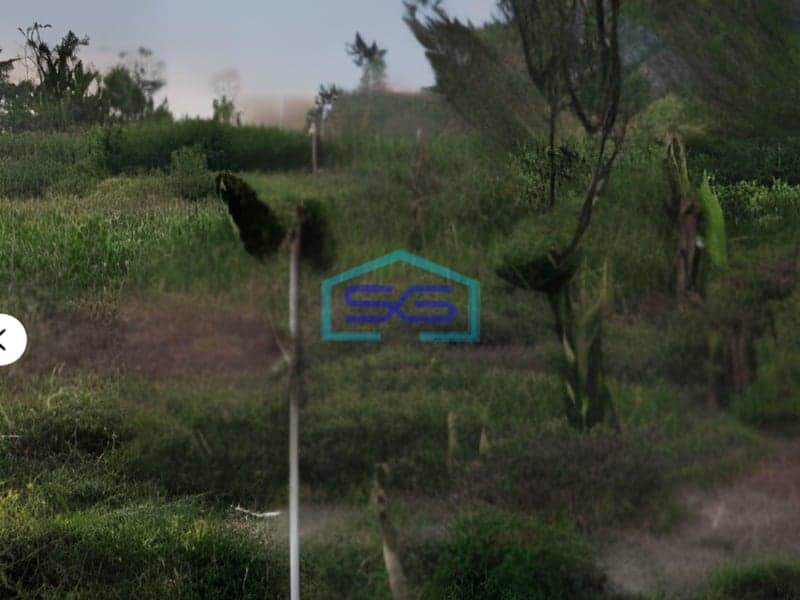 Dijual Tanah Bonus Bangunan di Mlati Sleman Yogyakarta LT 15000m2