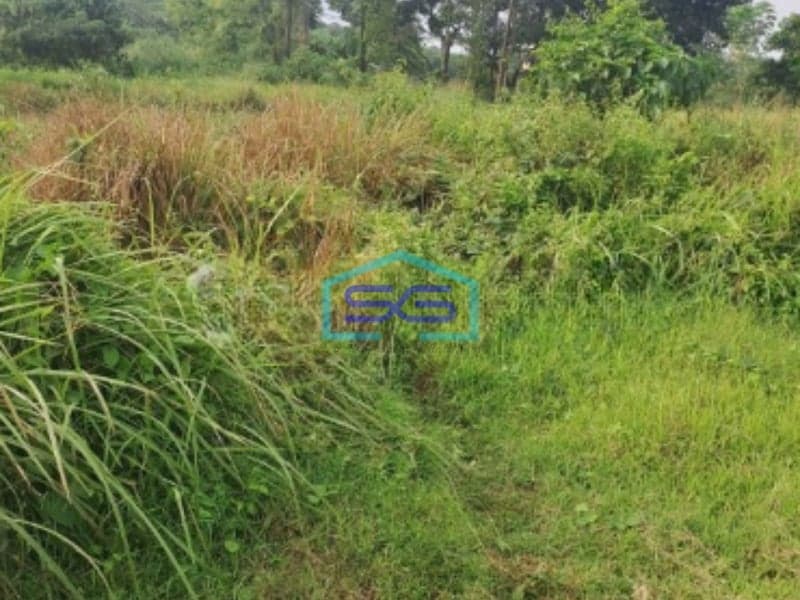 Dijual Tanah Jalan Raya Rumpin Bogor Luas Tanah 100000m2