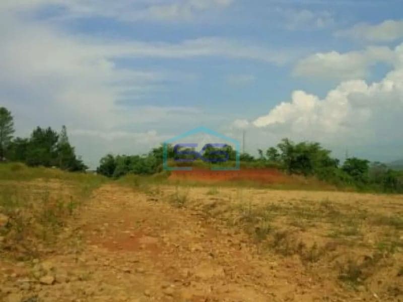 Tanah dijual di brantamulia citeureup luas 1 ha