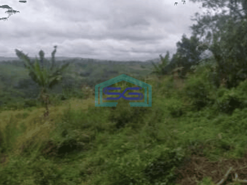 Dijual Tanah Untuk Gudang di Gianjar Sukabumi