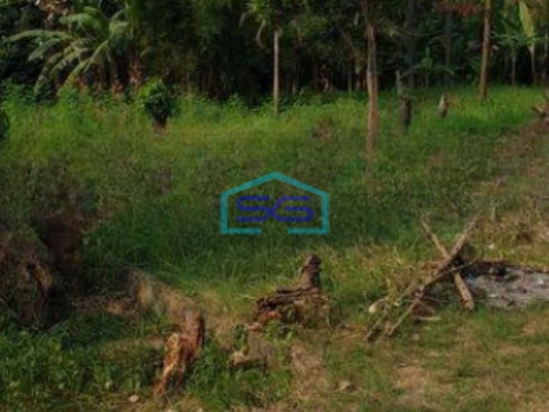 Dijual Tanah di daerah Ciputat Pamulang Tangerang Selatan LT 8000m2