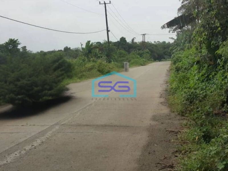 Dijual Tanah di Maloko Dangdang Cisauk Tangerang LT 10000m2