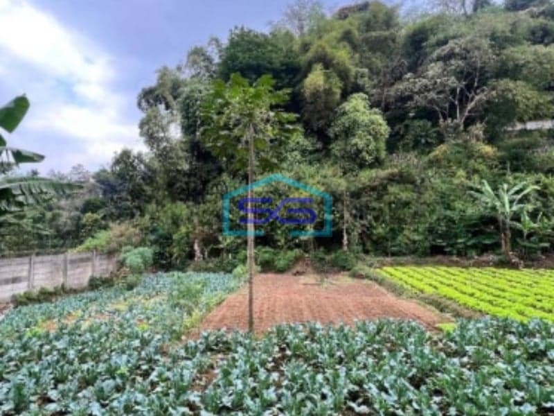 Dijual Murah Tanah Ciwaruga Parongpong Bandung Utara LT 1768m2