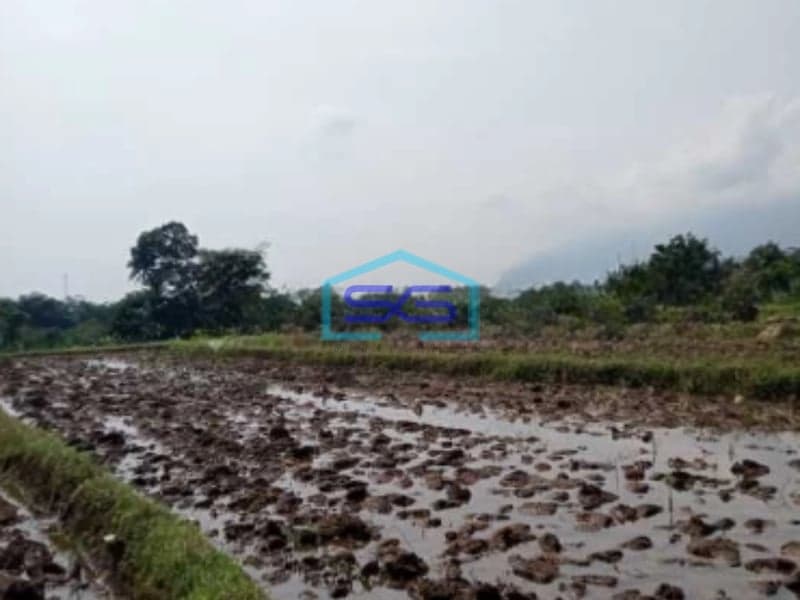 Dijual Tanah Di Ciampea Udik Bogor Dengan Luas 50000m2