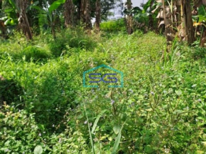 Dijual Tanah Di Pinggir Jalan Sentul City Bogor Luas Tanah 15000m2