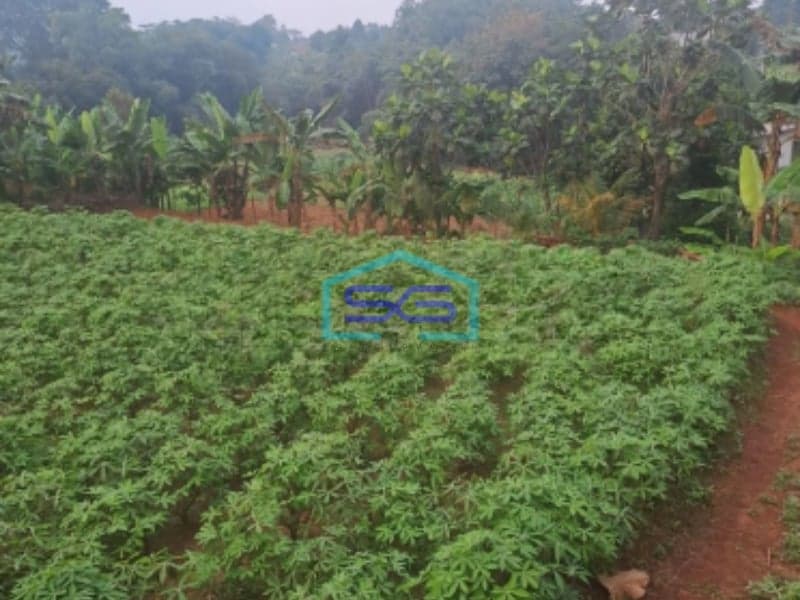 Dijual Tanah Bojong Kopasus Kemang Bogor Luas Tanah 3000m2