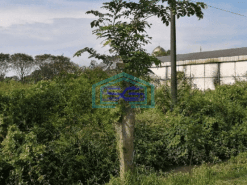 Dijual Tanah di Krembung Sidoarjo Jawa Timur