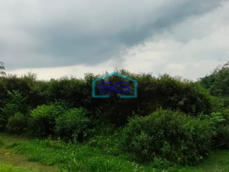 Dijual Tanah Jl Sukamakmur Air Batu kawasan Agrobisnis Peternakan Banyuasin Palembang LT 11 Hektar