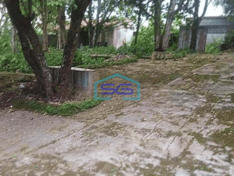 Dijual Tanah Murah Pinggir Jalan Utama Parung Panjang Bogor Jawa barat LT 8538m2