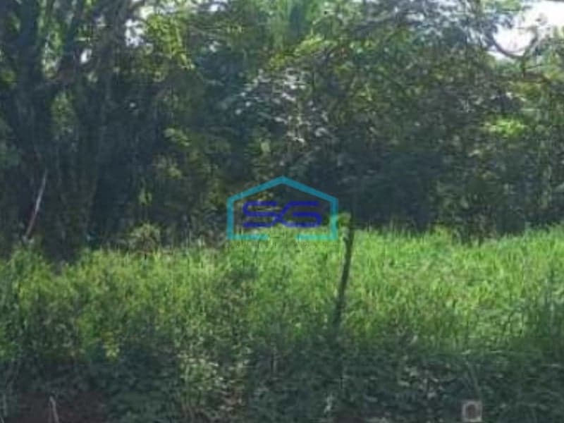 Dijual Tanah Luas  12000 m² Lokasi Bebas Banjir di Bogor