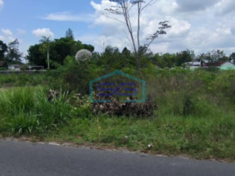 Land for Sale Near School in Pakem, Sleman 6,000 sqm Land Area