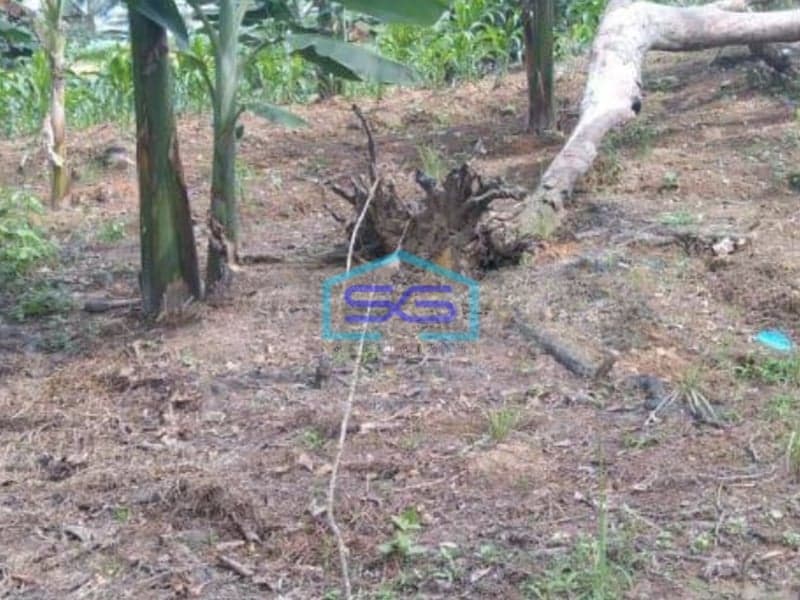 Dijual Tanah Kondisi Bagus di Balikpapan LT 9512m2