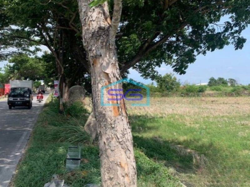 Dijual Tanah Kawasan Industri Lokasi Colomadu Solo Luas 3,2 Ha