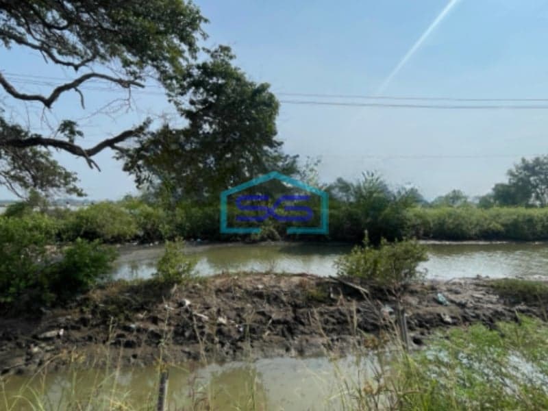 Dijual Tanah Tambak Di Desa Sungai Buntu Karawang Luas Tanah 20082m2