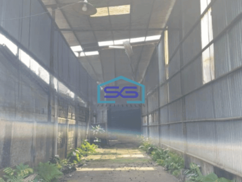 Dijual Cepat Pabrik Ex Pabrik Kertas Luas Bangunan  3500 m² di Bitung Tangerang