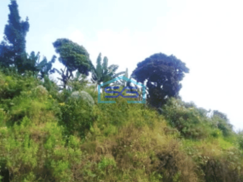 Dijual Tanah di Dago Bandung Luas 10000m²