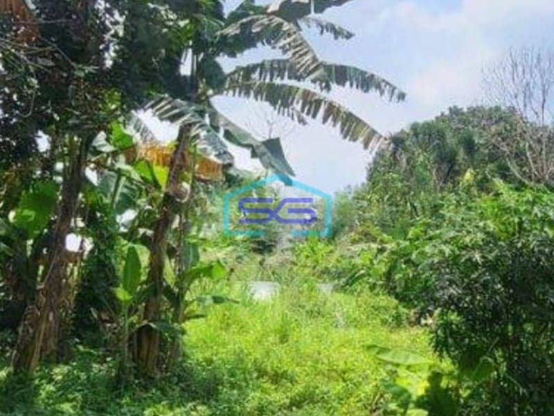 Dijual Tanah di Bogor Cocok untuk Perumahan LT 17702m2