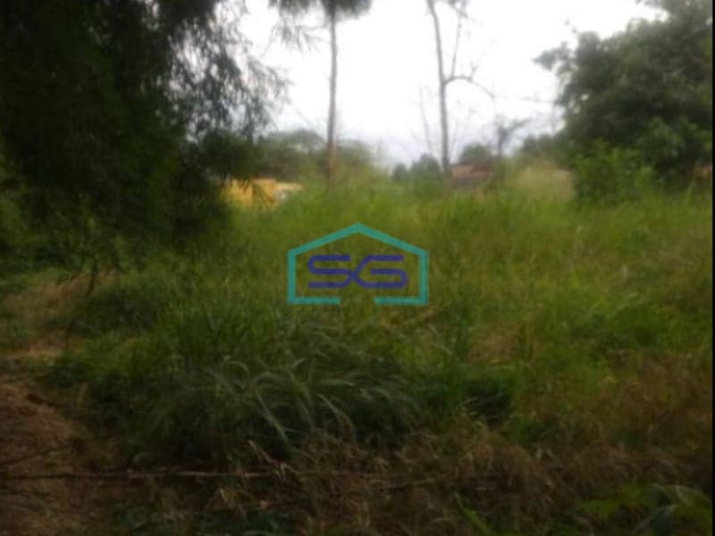 Dijual Tanah di Pinggir Jalan Raya Pengasinan Gunung Sindur Bogor LT 4894m2