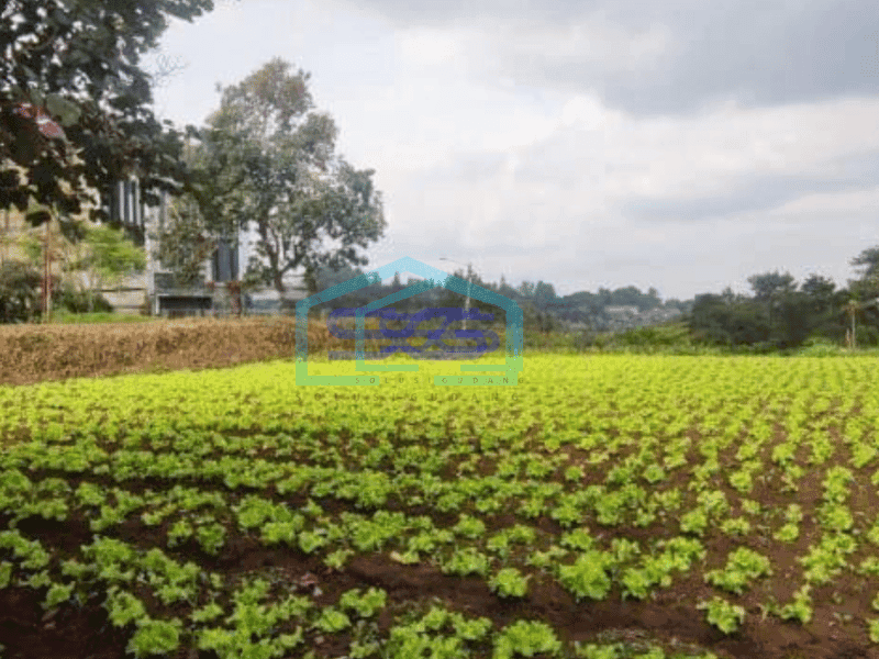 Dijual Kavling Harga Murah di Setiabudi Regency, Bandung