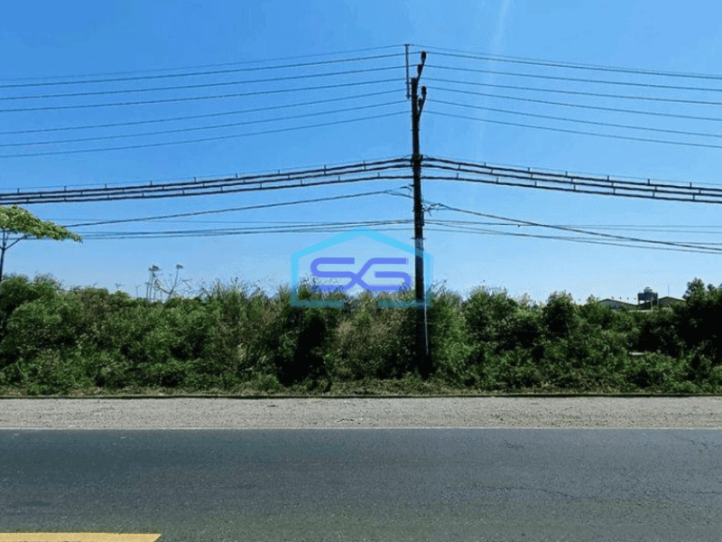 Dijual Tanah Super Strategis Jl Raya Seberang Pelabuhan Manyar Gresik Cocok Untuk Gudang Pabrik LT 20000m2