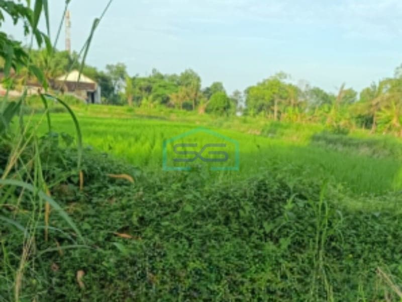 Dijual Tanah SHM di Sardonoharjo, Ngaglik, Sleman Yogyakarta LT 3400m2