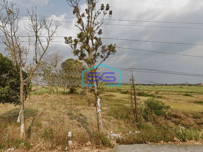 Dijual Tanah Industri Sawo, Mojokerto Hanya 4.5km Dari Exit Tol Gedek LT 8800m2