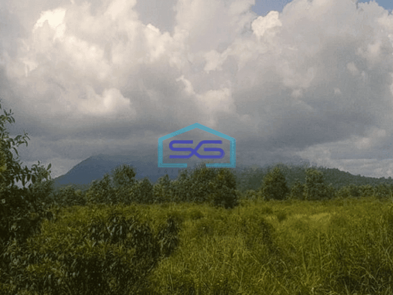 Dijual  Tanah Strategis Di Pinggir Kota Singkawang Kalimantan Barat LT 20000m2