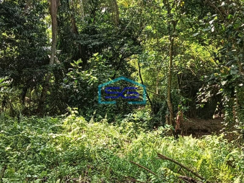 Dijual Tanah di Jalan Sukasari Soekarno Hatta Palembang LT 4000m2