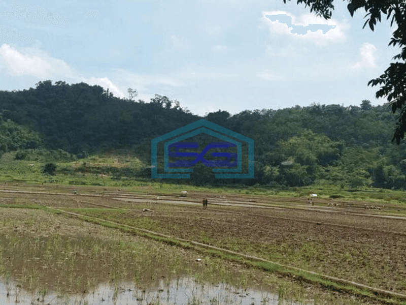 Dijual tanah sawah mainroad jln raya cipatik pataruman soreang