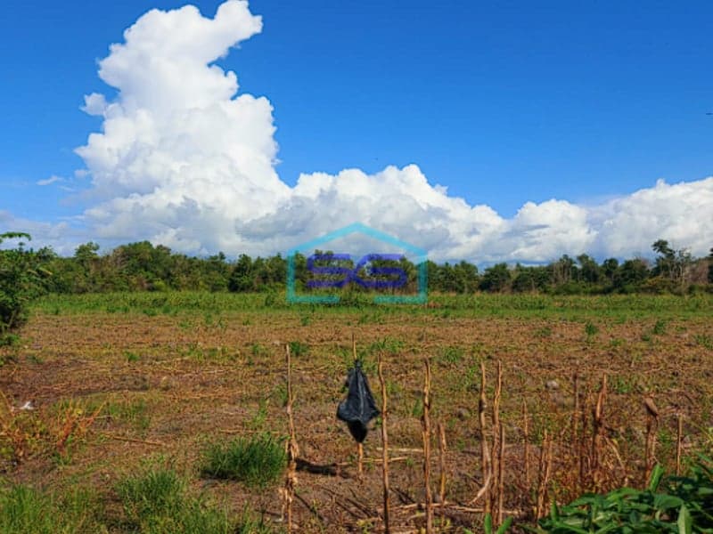 Dijual Tanah Jalan Lintas Sumatra Sriwijaya Raya KM 22 Jalan Palembang Indralaya Sumatera Selatan LT 5.6 Ha