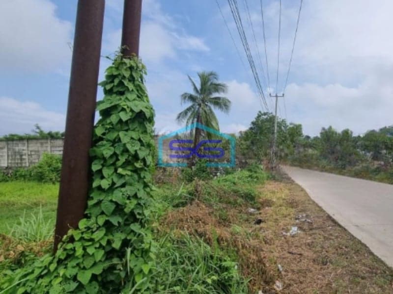 Dijual Tanah Lokasi Bagus Dalam Kawasan Industri di Cikande Serang Luas 24 Ha