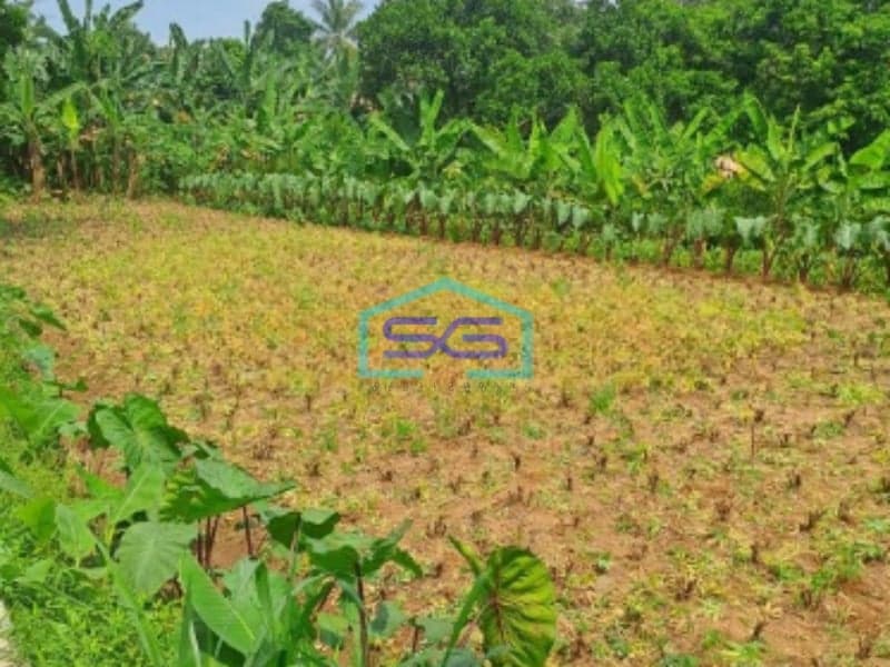 Dijual Tanah Di Kemang Bogor Luas Tanah 15000m2 Lokasi Bagus