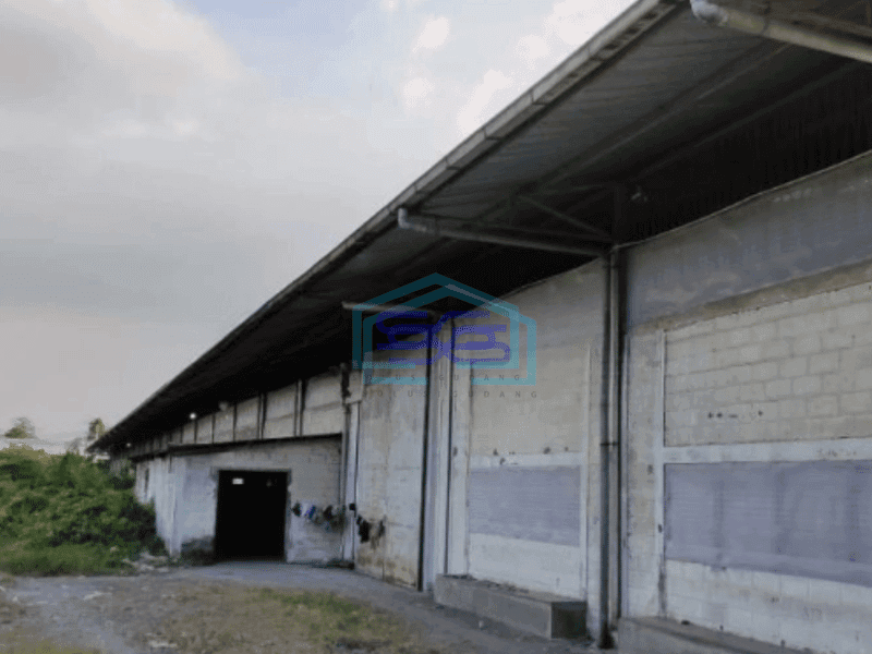 Dijual Gudang Siap Pakai Lokasi Gunung Gangsir Jl wicaksono Beiji Pasuruan Luas Bangunan 57000 m²