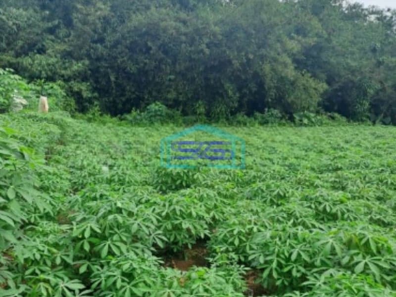 Dijual Tanah di Area Mekarsari Rumpin Bogor Luas 1000m2 SHM