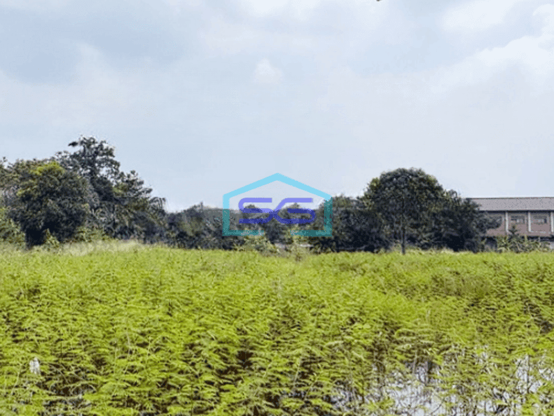 Dijual Kavling Tanah Luas 5900m2 di Jl Raya Nigrat Legok Manungtung Tangerang