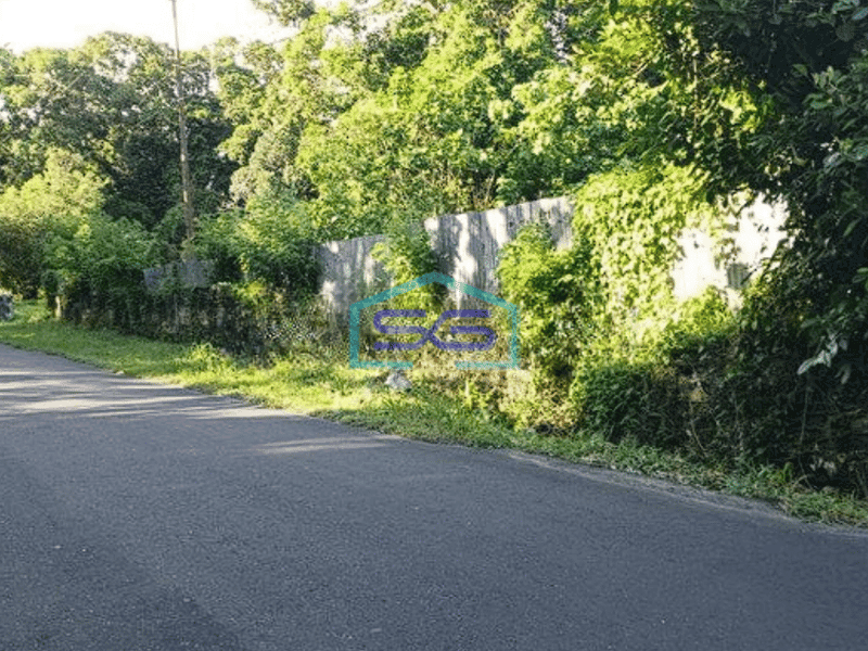 Dijual Tanah di Jl Manado Bitung Desa Treman Dekat Gudang Unilever Minahasa Utara