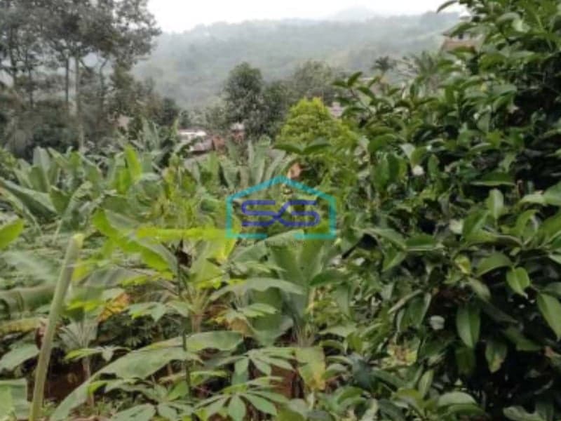 Dijual Tanah Di Gunung Geulis Sukaraja Bogor Luas Tanah 1900m2