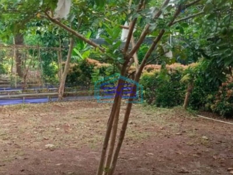 DiJual Cepat Tanah Luas dan Matang Pinggir Jalan Utama M Kahfi Jakarta Selatan ifikasi Luas Tanah 3000 m²