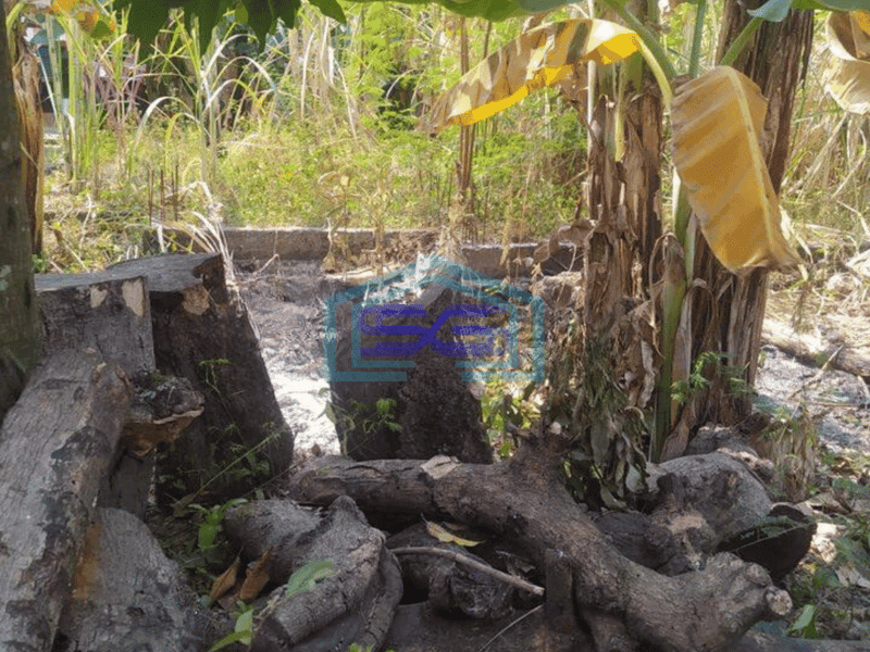 Dijual Cepat Tanah Kosong cocok untuk Gudang di Lubang Buaya Setu Kabupaten Bekasi