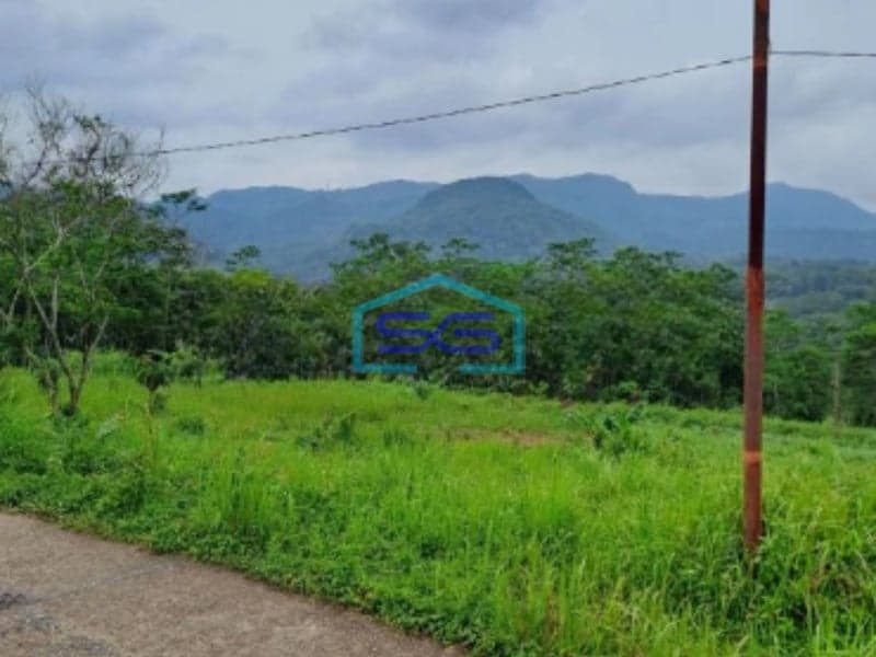 Dijual Tanah Leuwiang Lewisadeng Bogor Luas Tanah 120000m2